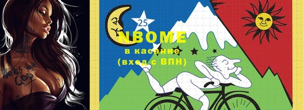 тгк Бородино